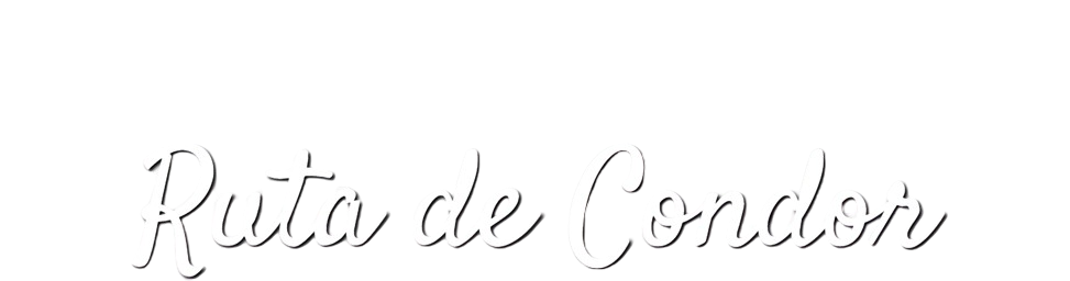 Logo de La Ruta del Cóndor